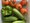 Ein weißer Behälter mit frischem Gemüse: fünf rote Tomaten, eine große grüne Paprika und mehrere grüne Gurken.